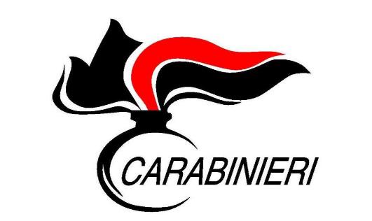 Logo Arma dei Carabinieri